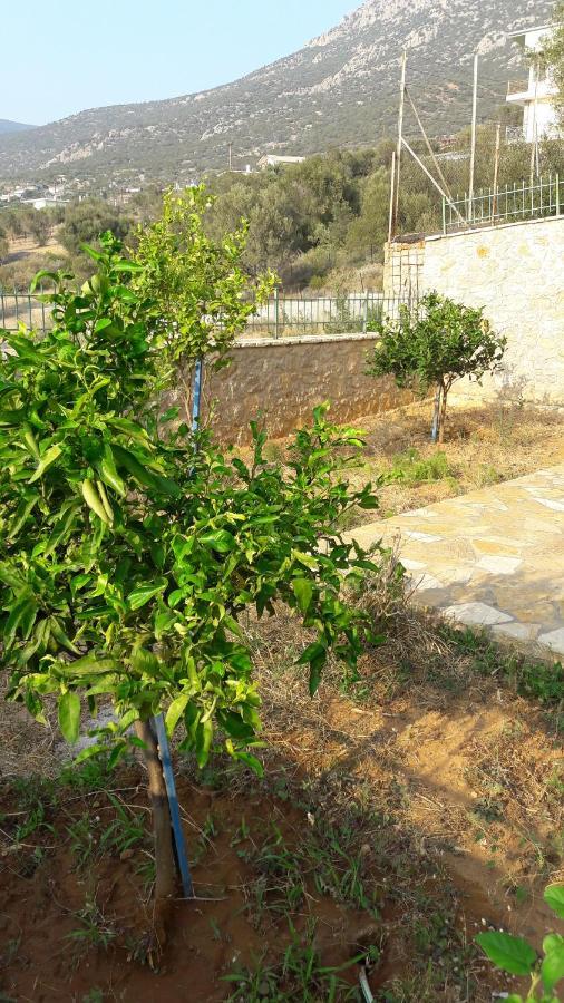 Εξωτικο Διαμερισμα Με Θεα Την Παραλια Αλυκης Villa Aliki  Exterior photo